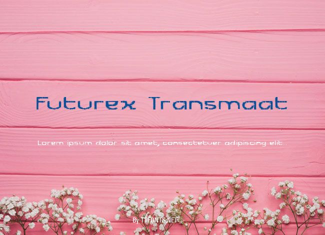 Futurex Transmaat example